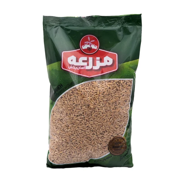 گندم سلفونی مزرعه