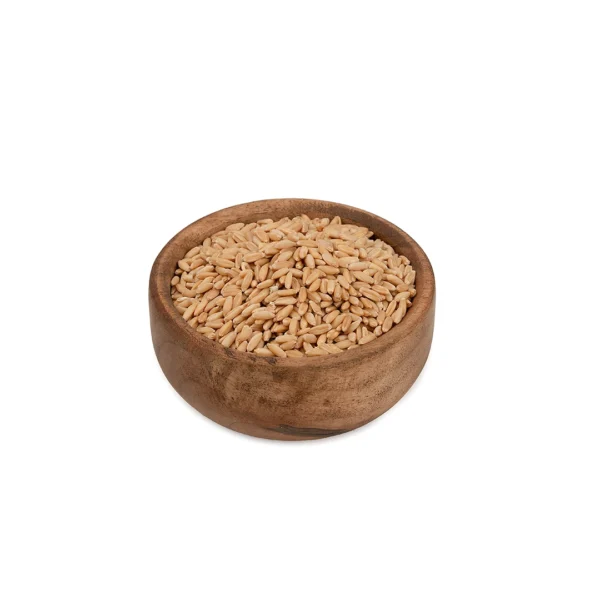 گندم ممتاز مزرعه فله